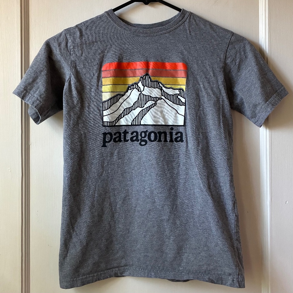 Patagonia Line Logo Ridge Responsibili-Tee